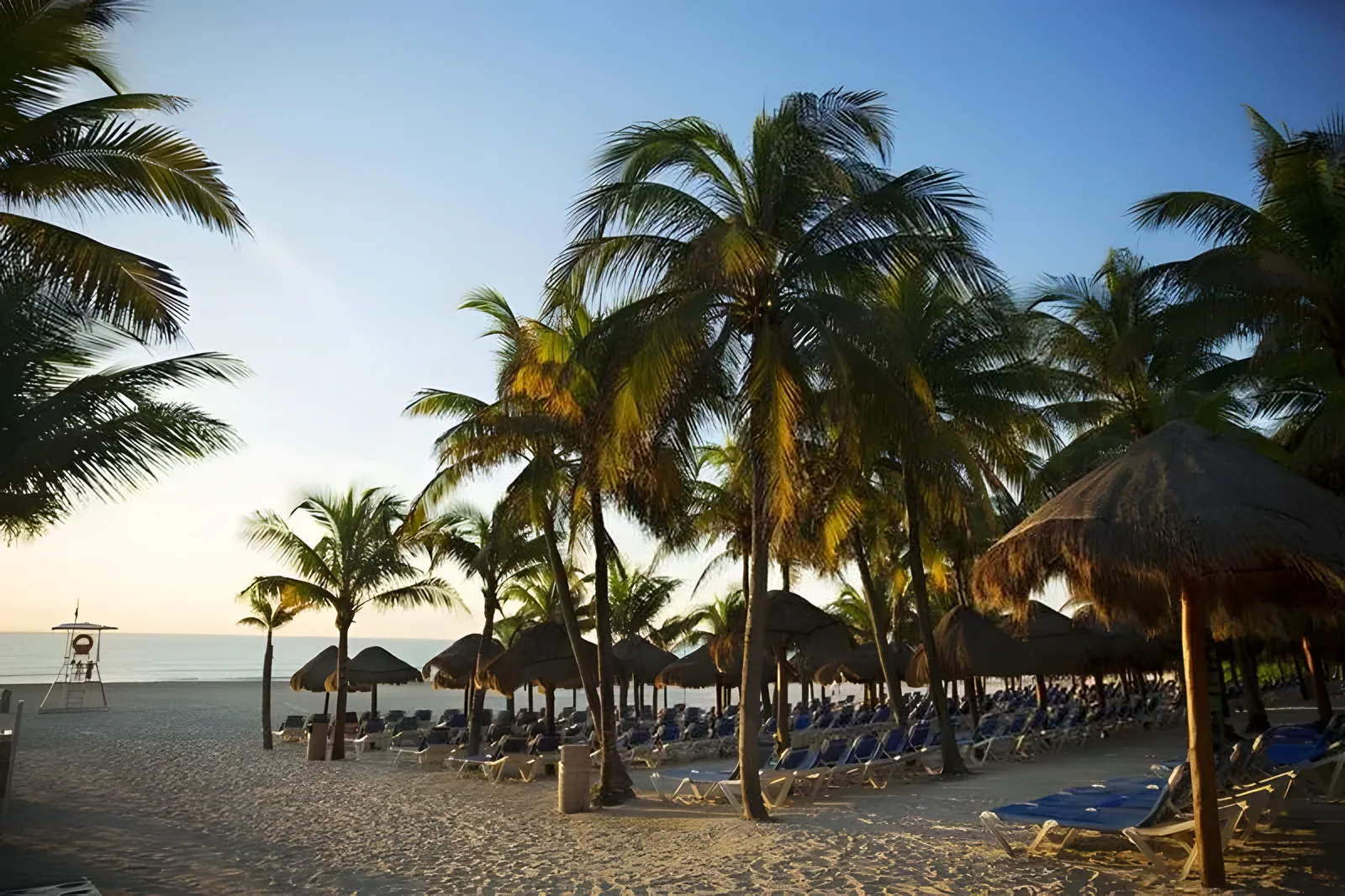 Peščana plaža sa plavim ležaljkama ispod palmi · Viva Wyndham Maya Hotel 4*, Playa del Carmen