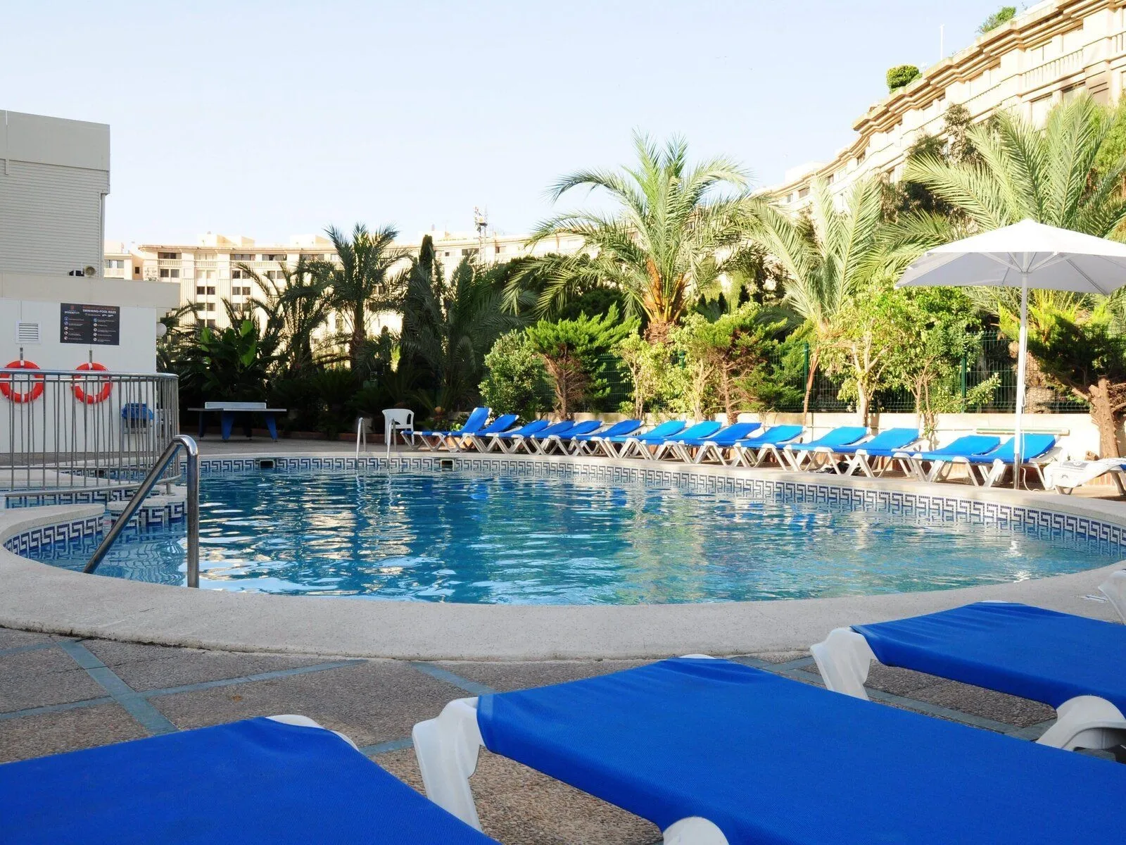 Bazen sa plavim ležaljkama i palmama · Hotel Prince Park, Benidorm