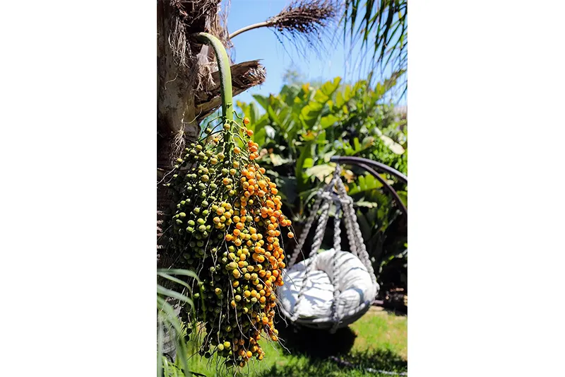 Cocos The Club Solto Boutique Hotel - slika 4